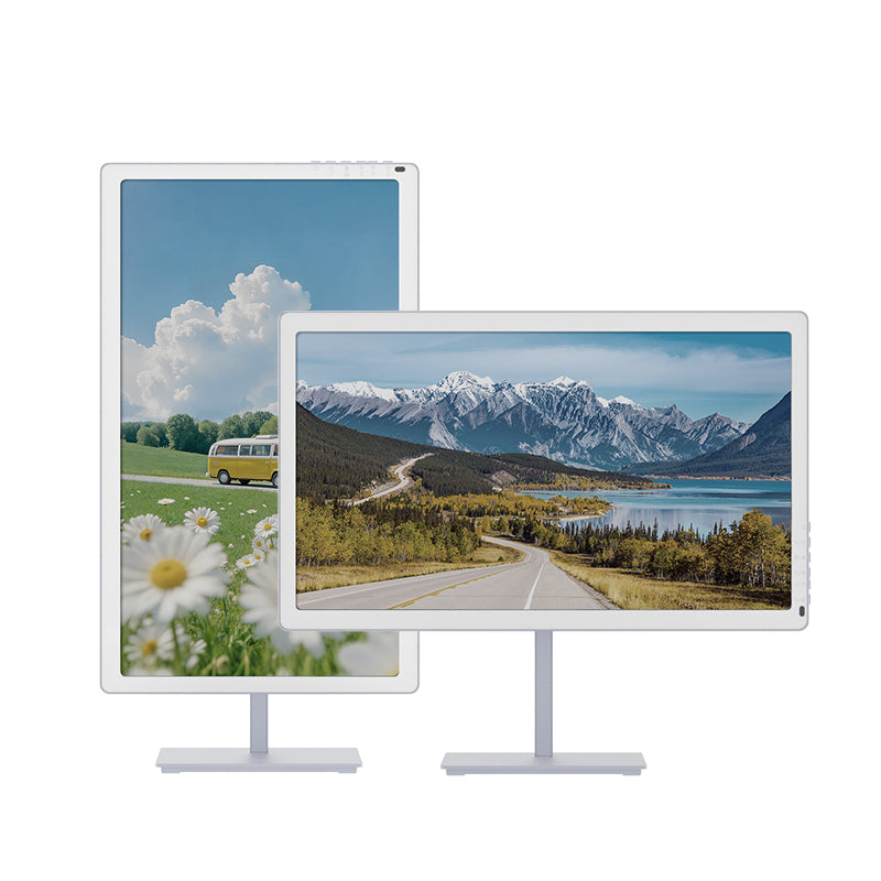 BigMe B251 PRO 25.3 吋彩墨顯示器